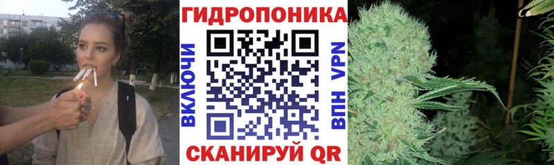 Какие есть наркотики Ачхой-Мартан Кокаин Меф Гашиш Псилоцибиновые грибы Каннабис